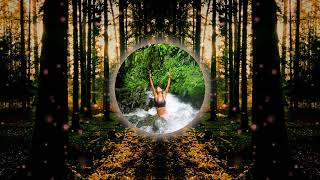 Forest Walk Nature Sounds Electrotrackcopyright Free