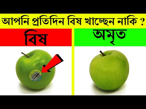 ভিডিও: সাধারণ ধারক বাগানের কীটপতঙ্গ: ধারক কীটপতঙ্গের সমস্যাগুলির চিকিত্সা করা