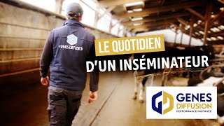Le Quotidien Dun Inséminateur