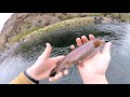 Crooked River Fly Fishing on a Spring Morning