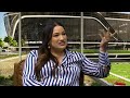 Lujo No Es Suerte: Es Estrategia | Stephanie McGowan