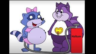 Pinch Raccoons Belly Inflation 