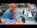 Blippi lernt etwas ber tolle tiere im zoo  blippi deutsch  abenteuer unds fr kinder