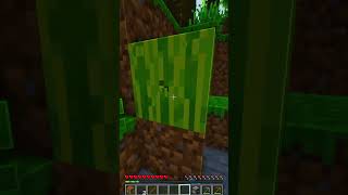 Wenn Ich Ein Mob Sehe Endet Das Video In Minecraft