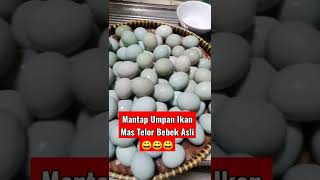 Bukan Main!!!  Bikin Umpan Ikan Mas Pakai Telur Bebek Pasti Gacor !!! #shorts  #videoahorts