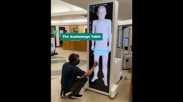 Health Sciences Library Anatomy Table and 3D Printer