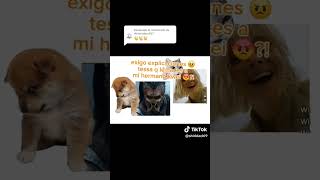 Kwei x Tessa | Dek x Thia 💔🔥 Historia Yautja (Yauta Prime)