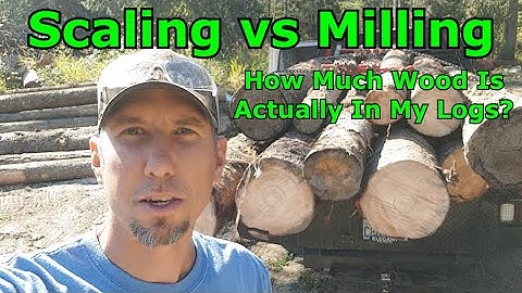 Scaling vs Milling, How Much Wood Is Actually In My Logs?