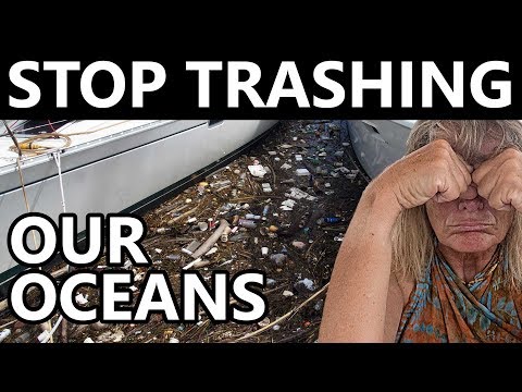 Video: Kur jachtos išmeta atliekas?