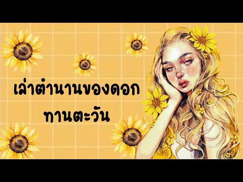 เล่าตำนานของดอกทานตะวัน🌻 น้องเป็นดอกไม้ที่น่าสงสารมาก🌻