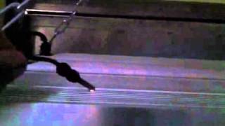 IMG_1551.MOV
