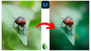 Macro photos editing tutorial/lightroom, snapseed