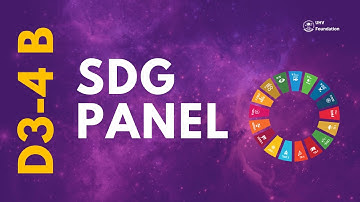 D3-4  B: Panel Discussion on SDGs