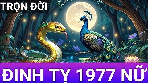 Tử Vi Trọn Đời Tuổi Đinh Tỵ 1977 Nữ mạng .Chi tiết.
