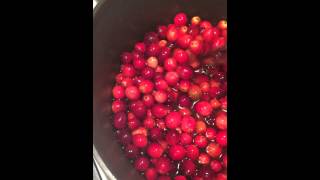 Cranberry Orange Sauce
