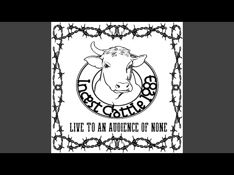 Incest Cattle — Isabel (Live)