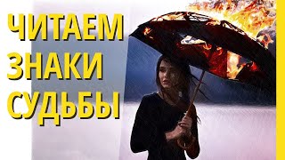 Знаки судьбы. Как научиться замечать и понимать подсказки вселенной. Совпадения не случайны.