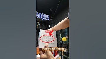 Bơm BAOYU có nên đặt bên ngoài bể không ???  #hdaqua #bomhoca