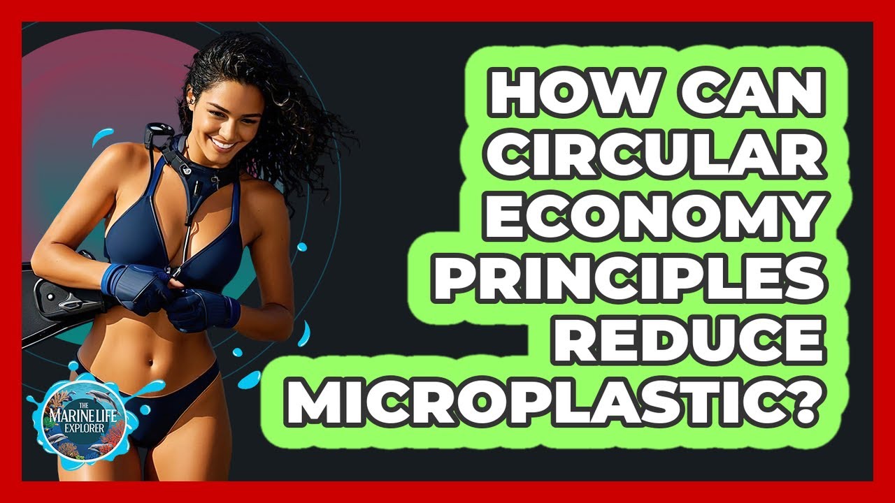 How Can Circular Economy Principles Reduce Microplastic? - The Marine Life Explorer