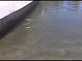 Trout Fishin at Green Valley Lake