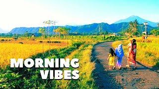 Indonesian village life/ Rice harvesting atmosphere in the village of Datar Warungpring Central Java