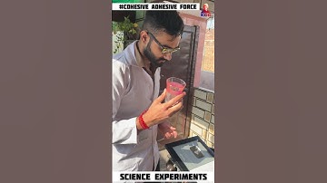 adhesive and cohesive of water | science experiments |#experiment #science #physics