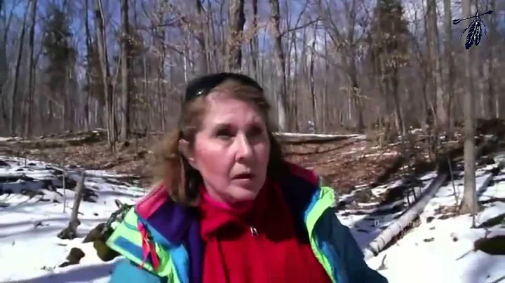 Weird Or What S02E04 | Parallel Worlds [HD]