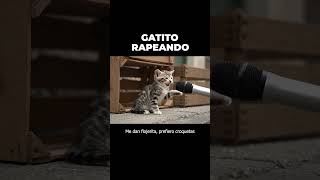 El Gao De Las Harinas Que Cambió Ratones Por Croquetas