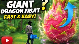 HOW TO GROW 🪴 GIANT DRAGON FRUIT IN FREE FIRE GARDEN, MAIN TIPS ✅🥶🤯 screenshot 5