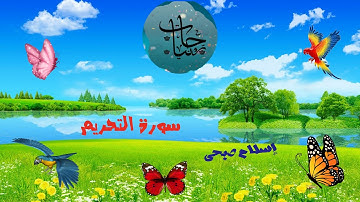 سورة التحريم إسلام صبحي