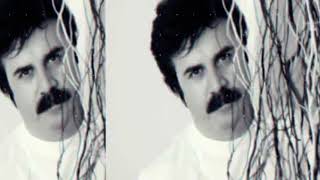 Canel Arsel - Elleri̇ni̇ Çeki̇p Benden Yari̇m Bugün Gi̇der Oldu