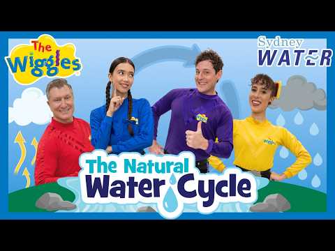 The Natural Water Cycle 💧 The Wiggles + Sydney Water