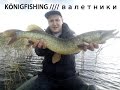 Рыбалка в Калининграде //// KÖNIGFISHING //// валетники