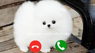 Funny voice message ringtone.new messages ringtone best sms tone notification ringtone notification screenshot 5