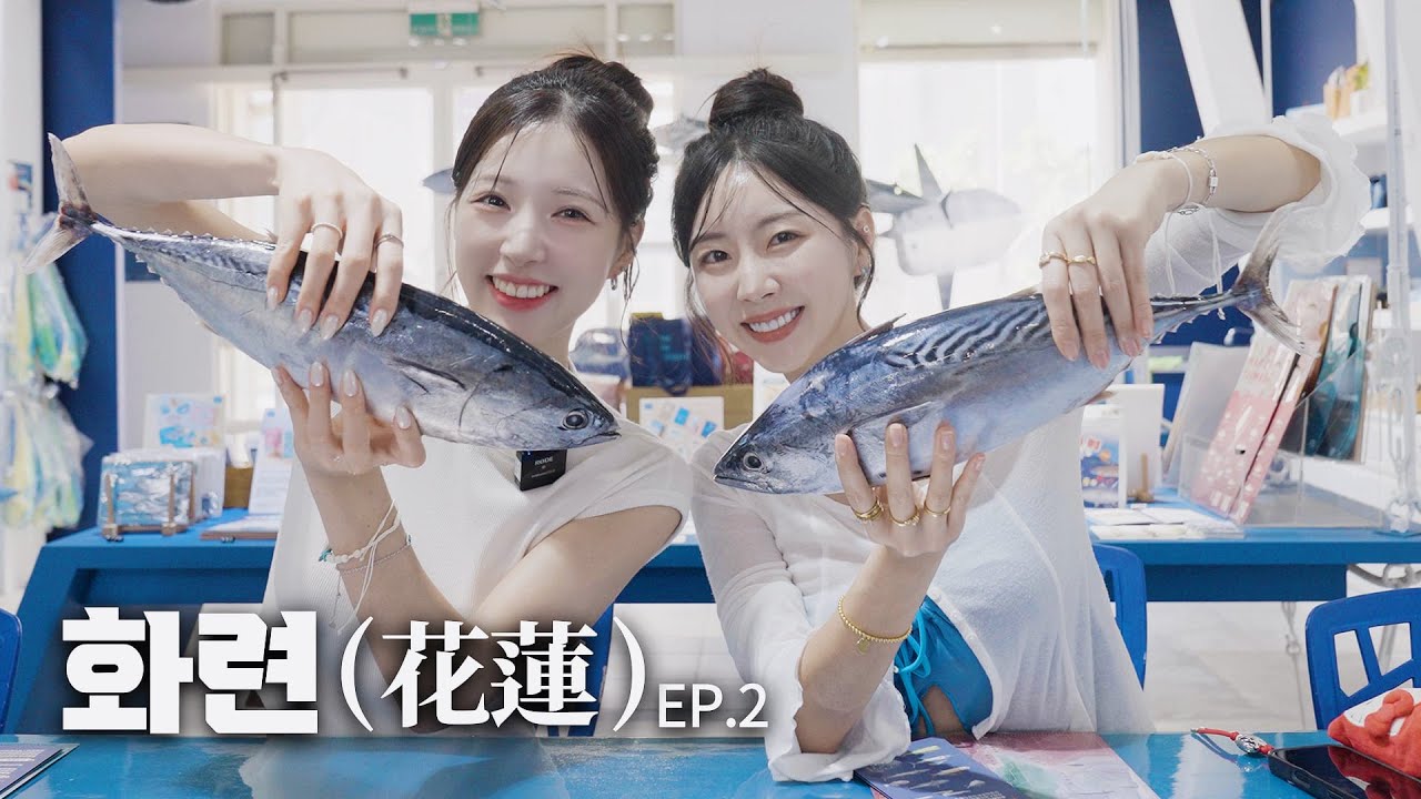 대만에서 이런 장면이!? 돌고래 실물 영접♥