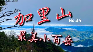 加里山鹿場登山口20231221