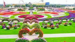 Jobs in Dubai 2024| How to Apply Online in Dubai|indeed|Linked in|Nukri gulf