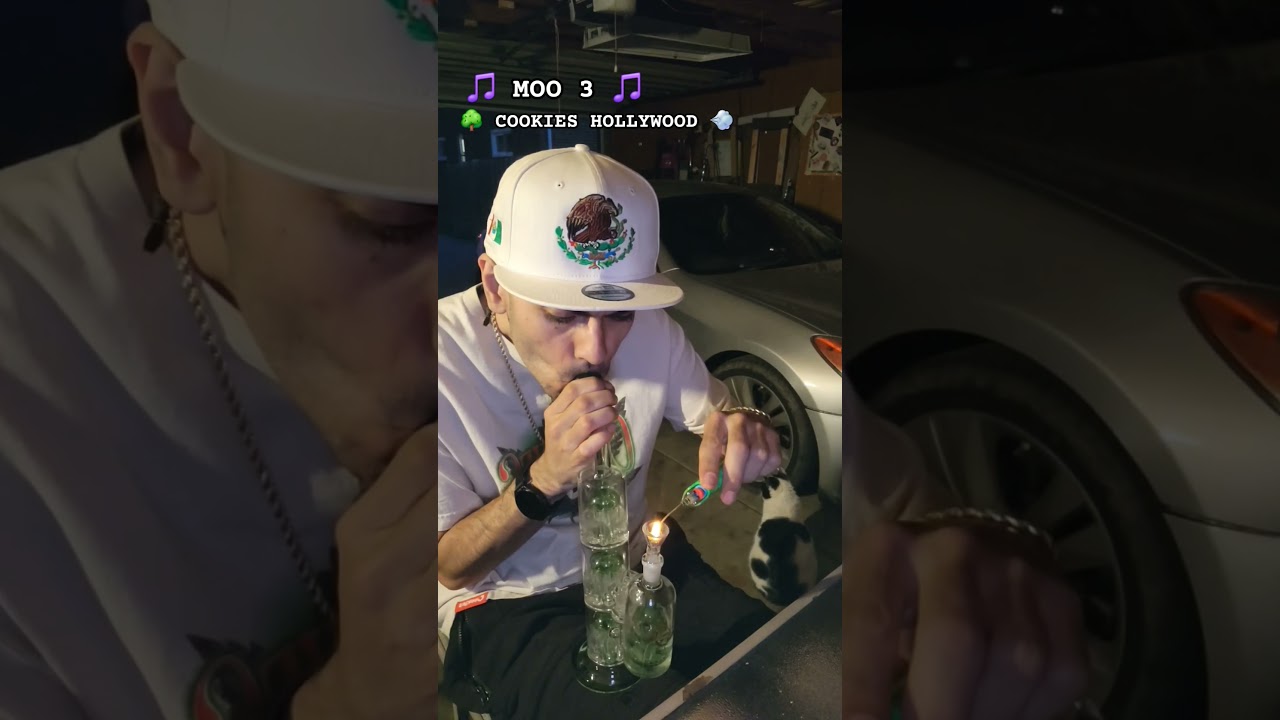 COOKIES HOLLYWOOD BONG SESH💨 NEW EP CHAPTER MOO OUT 6/6‼️