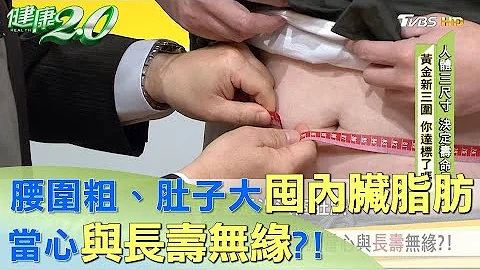 腰围粗、肚子大囤积内脏脂肪 当心与长寿无缘？！ 健康2.0 - 天天要闻