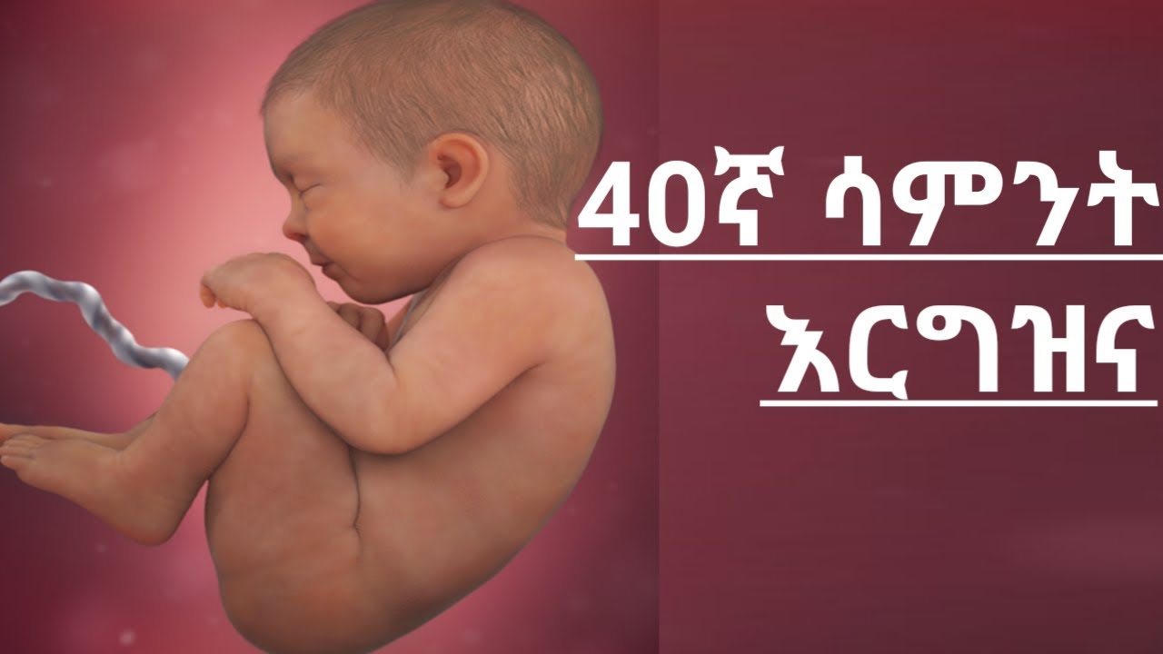 40ኛ ሳምንት እርግዝና/week-40 pregnancy/netsamereja