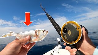 I DROPPED This HUGE! BAIT and CAUGHT a REEF MONSTER!
