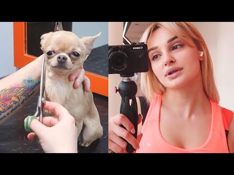 ვარჯიში/პაბლო სალონში