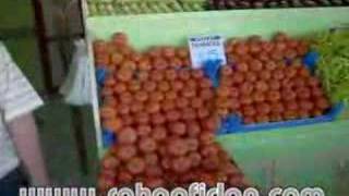 Atalay Tavukçuluk- Hırka