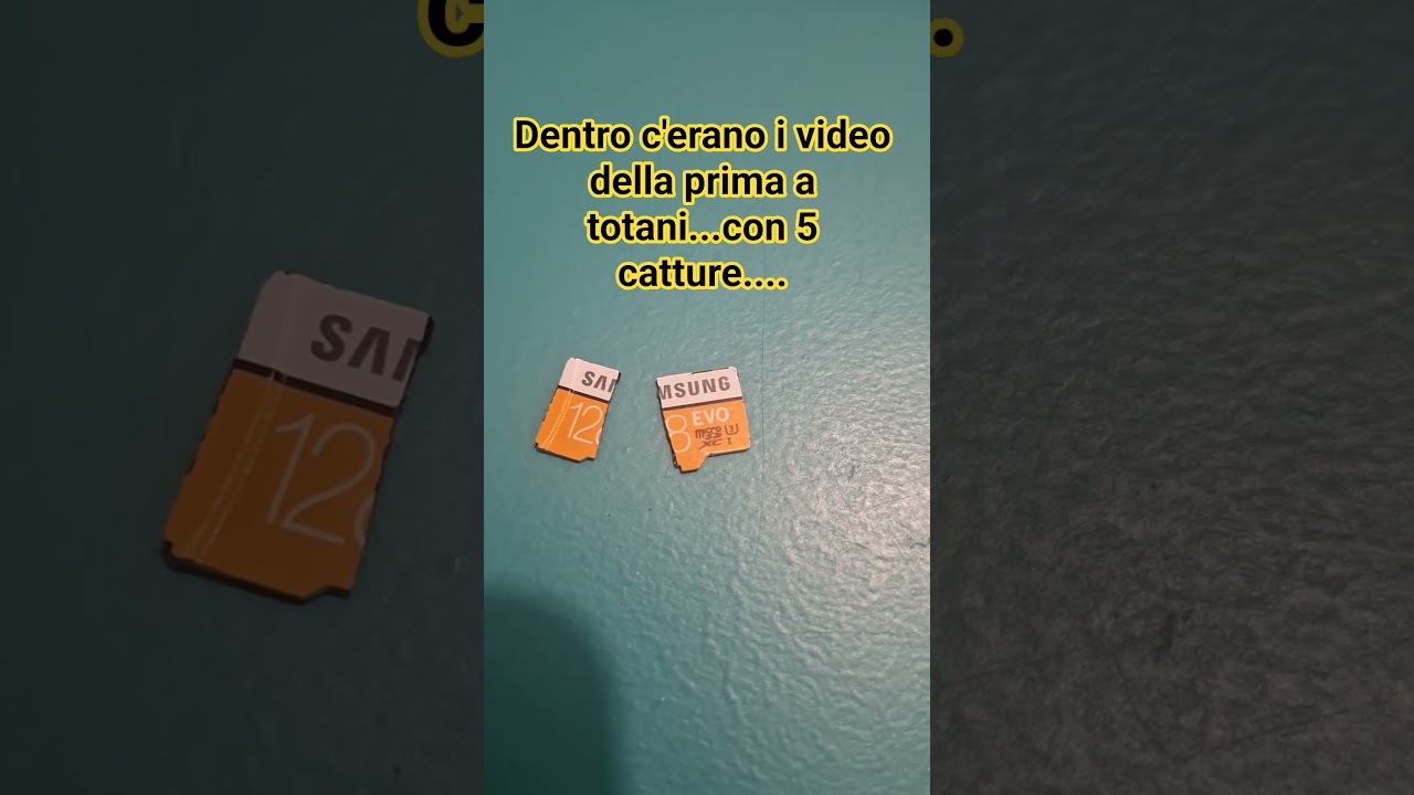 Micro DS rotta e video persi...........tutte le catture di Totani........