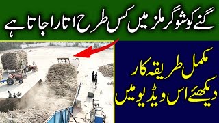 Full Sugarcane Crushing Process | Sugar Mill Visit | Sugar Mills Highlights | Amazing Factory Fotage