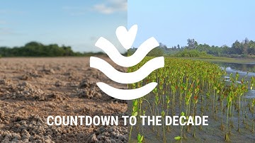 WED 2021 Virtual Celebration Short Teaser