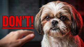 Full 5 Things Shih Tzus ABSOLUTELY Hate Update