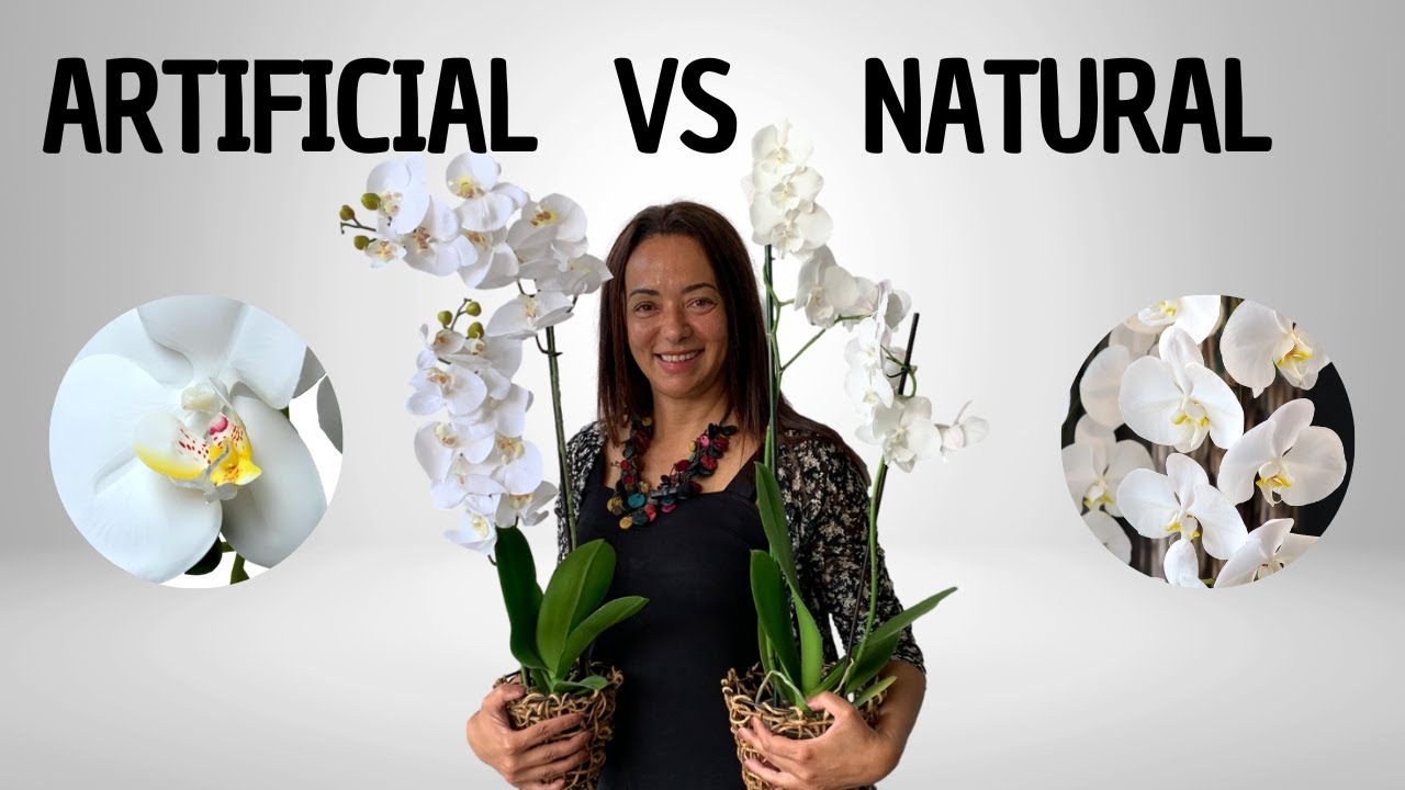 Deixe Seu Espaço Florir O Ano Todo Com A Decora Flores Todo Dia É Primavera - Artificial vs Natural