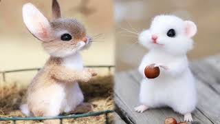 very cute animals top 30 cute animals pictures cute and funny animals