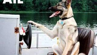 ANIMAL FAIL COMPILATION HILARIOUS LOL EPIC FAIL FUNNY ANIMAL PIX LMAO